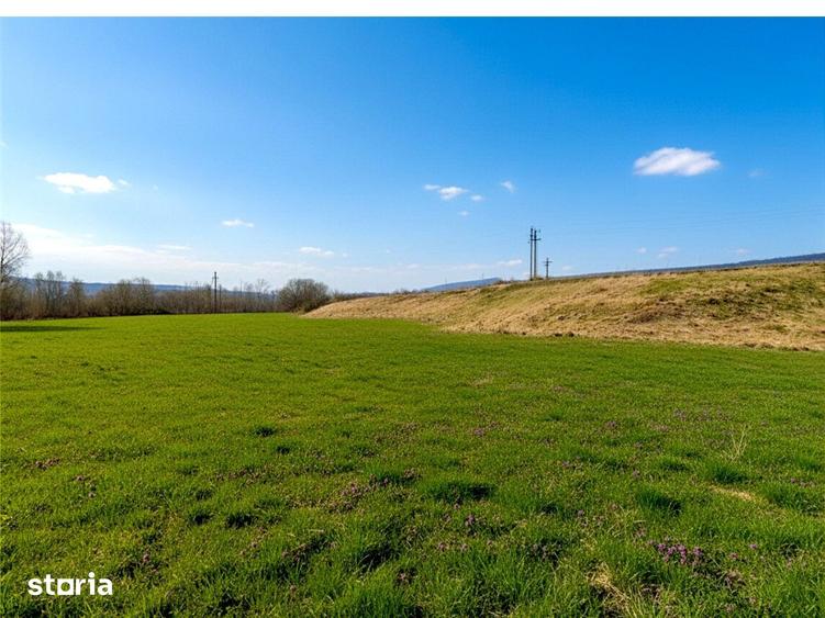 Teren de 12400 mp, în Pătrăuți