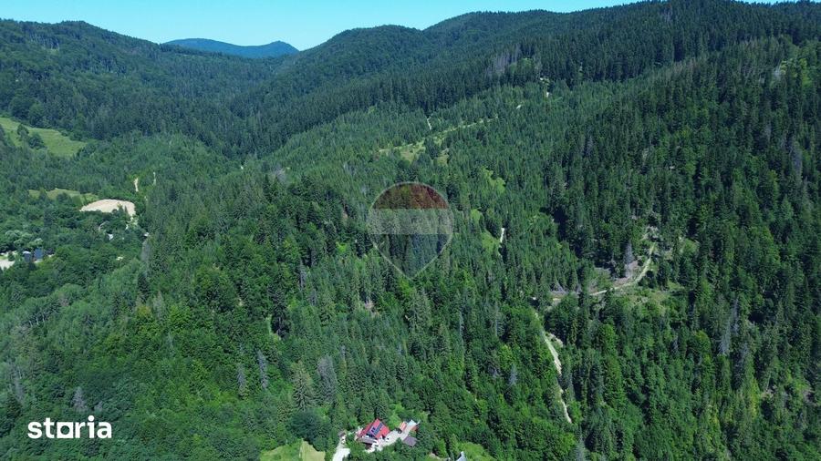 Teren de 120000 mp, în Sucevița