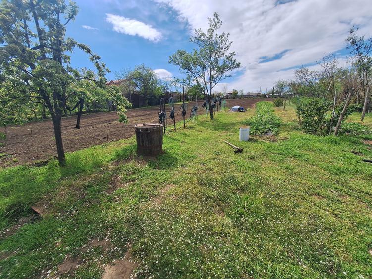 Teren Construcții intravilan de 2691 mp, în Tulucești
