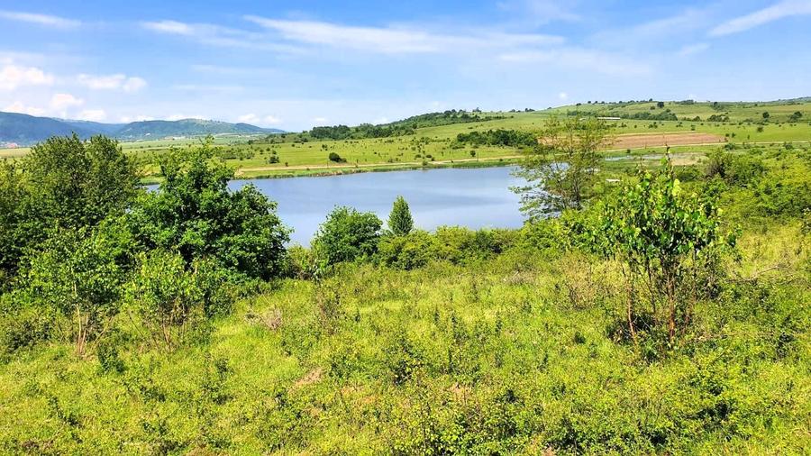 Teren extravilan 3200mp lac Sacel - 6