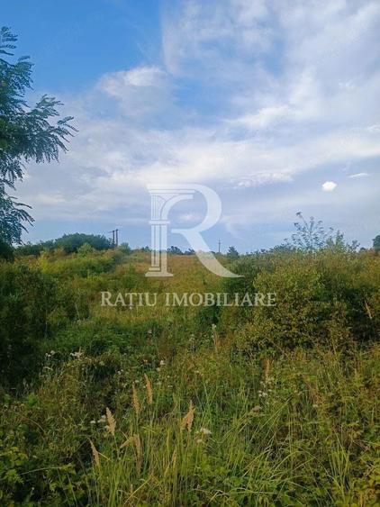 Teren agricol extravilan de 5755 mp, în Hidișelu de Sus