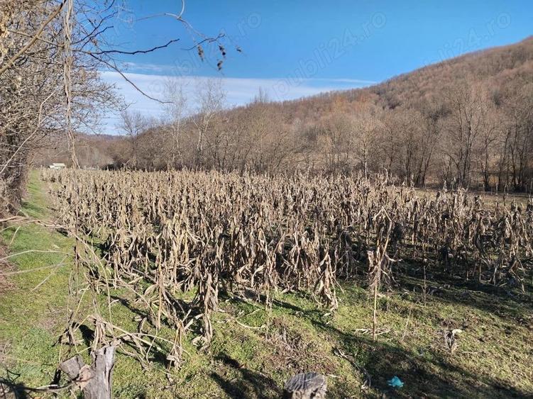 Teren de 2002 mp, în Central