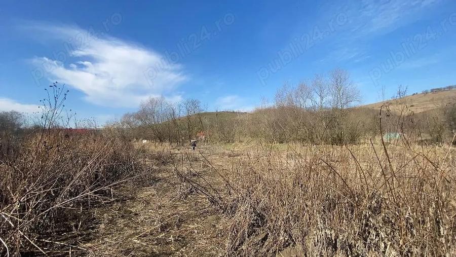 Teren de 5400 mp, în Cămărașu