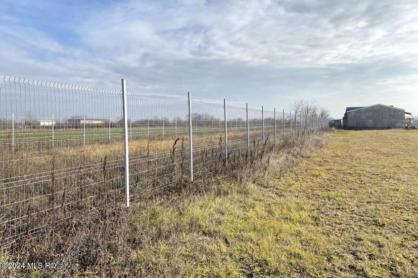 Teren Construcții intravilan de 2409 mp, în Afumați
