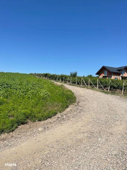 Ocazie - De Vanzare Parcela (600 Mp) Teren Intravilan Sorogari - Iasi - 4