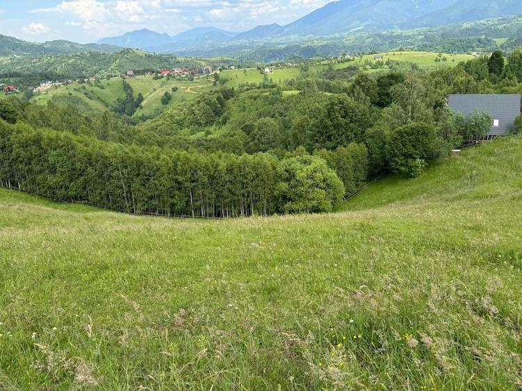 Teren Construcții extravilan de 5392 mp, în Peștera