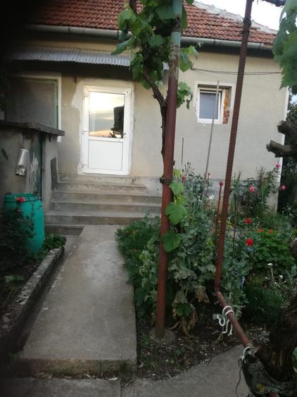 vand casa Frumuseni - 4