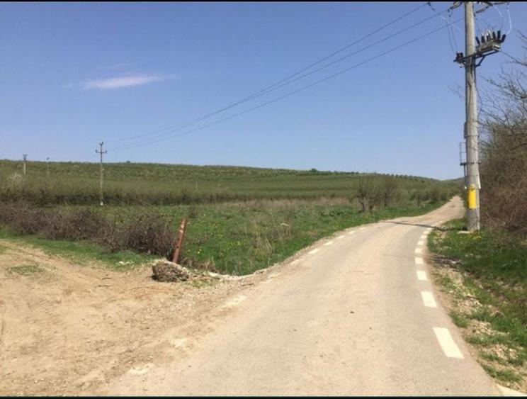 Vand livada 3 ha - 3
