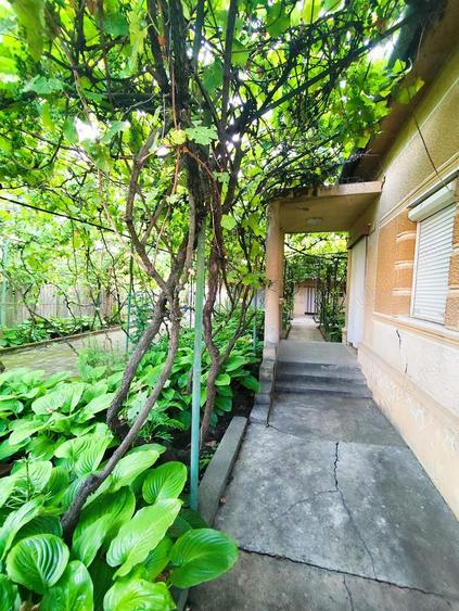 Casa de Vanzare, Sintea Mare, 6 km de orasul Chisineu Cris - 7