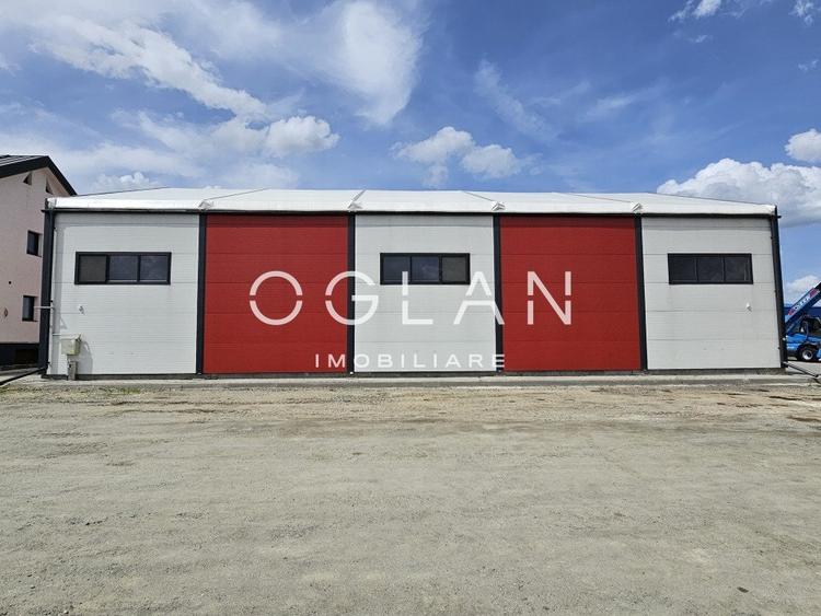 Cladire administrativa+hala+10.759 mp teren, Industrial Vest - 14