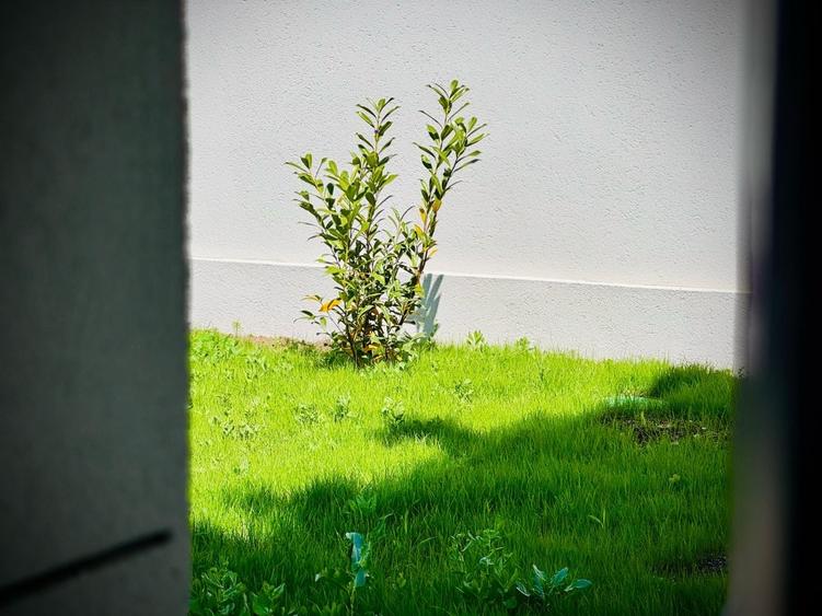 Proprietar vila 4Camere/3Bai/Pipera-Tunari/Str Paris/Posibilitate mobilare - 12