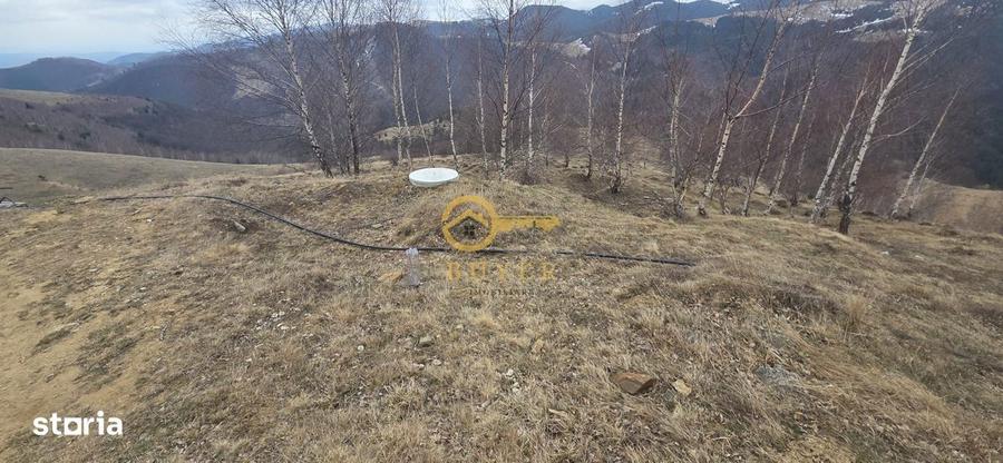 Teren investitie Paltinis - 8