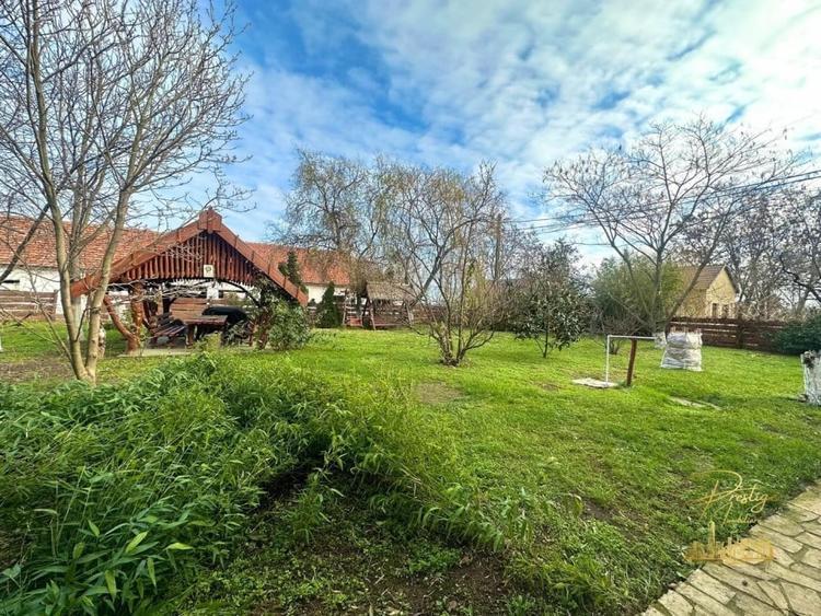 Domeniu - Centru de colectare, 7 ha de vanzare in Valea lui Mihai - 21