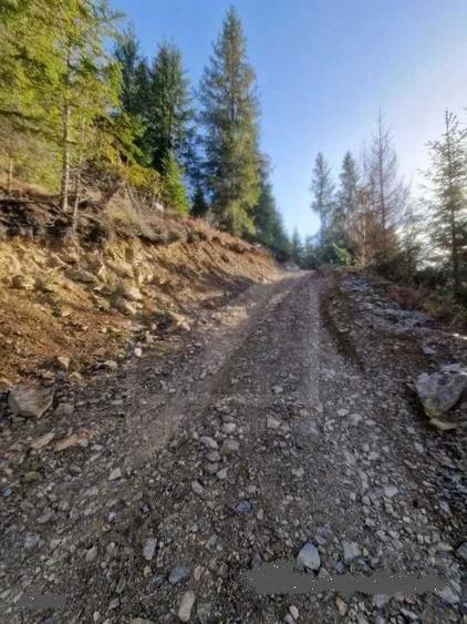 Teren extravilan Poiana Horea - 7