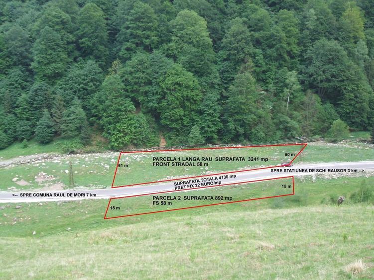 Raul Mare Retezat, spre statiunea de schi Rausor, Judetul Hunedoara - 8