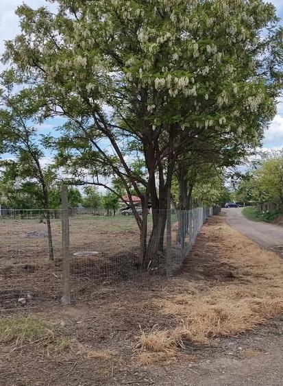 Vand teren intravilan sat Sabangia jud Tulcea - 3