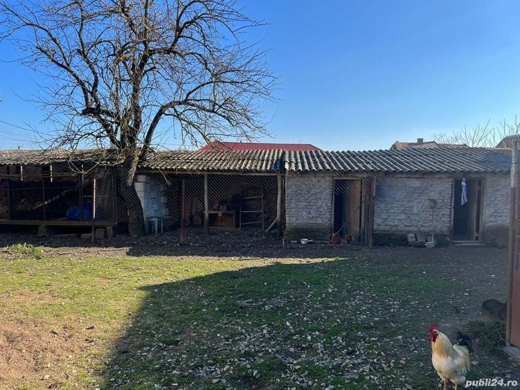 Casa Varadia - 9