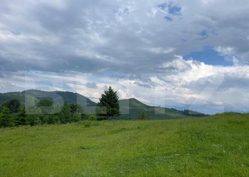 Teren de vanzare, Campulung Moldovenesc, zona Sandru, 2 ha - 8