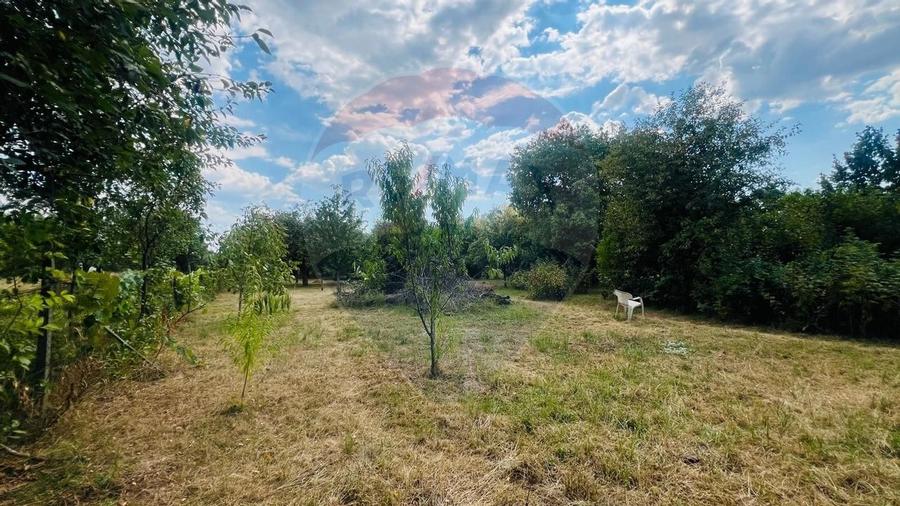 Casă Spațioasă cu teren Generos de 3416 mp în Tăuții Măgherăuș - 6