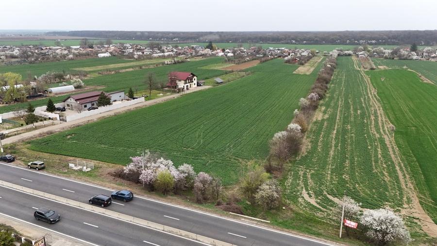 0% | Teren intravilan, 4563 mp, front 25 m, utilitati | Potigrafu PH - 4