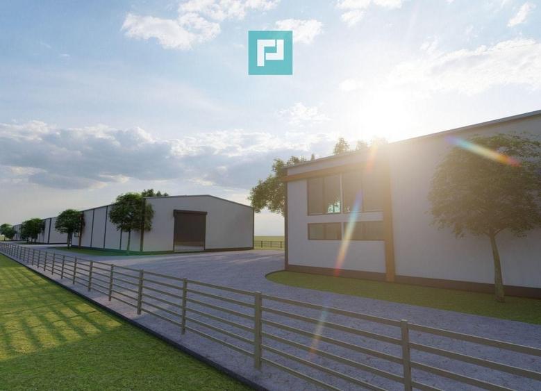 Hală industrială nouă de vânzare – Balaceanca - 2