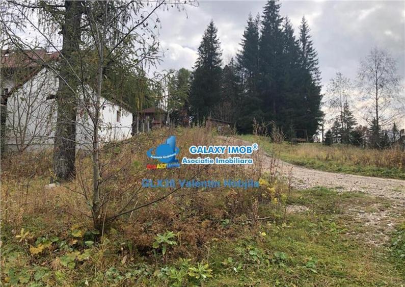 Teren 850 mp Predeal Cioplea - Belvedere - 10