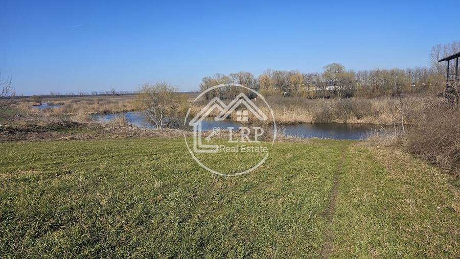 Loturi de Casa pe malul Lacului Creața, Dascălu – 460 mp + Drum servitute - 2