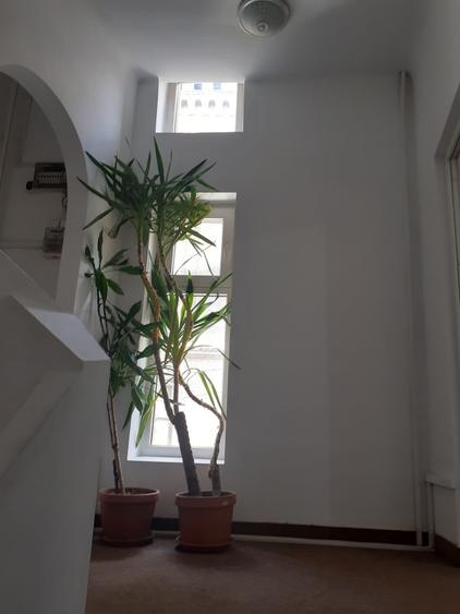 Vila spatioasa in zona de mare interes - 6