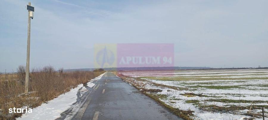 Cosoba, teren 7600 mp intravilan pe str Guliei - 2