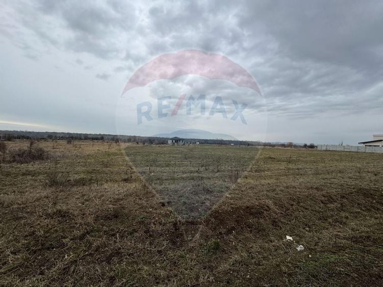 Teren intravilan Fantanele -750 mp - 1