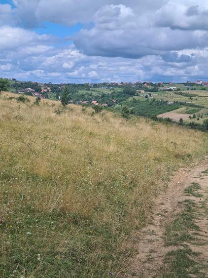 Teren extravilan 2500m2. Panorama superba.-Salicea - 3