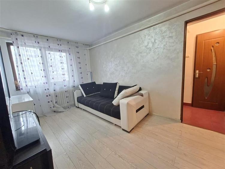 Podu Ros - Aleea Rozelor ap 2 camere mobilat, fara risc - 1