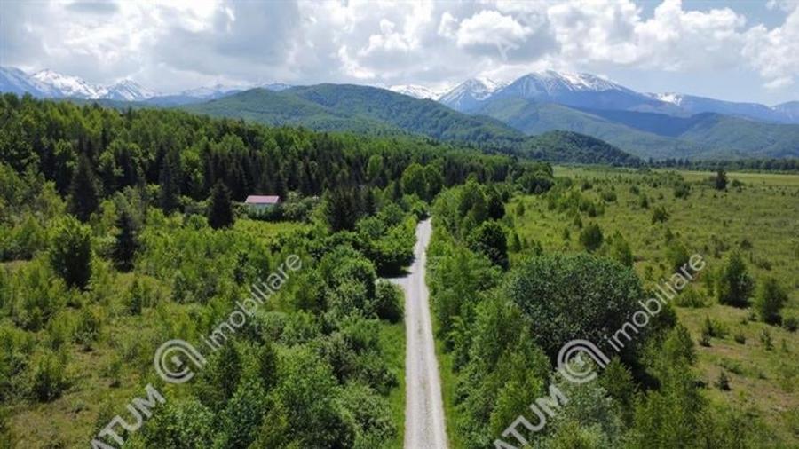 Teren intravilan de vanzare pe Valea Avrigului in suprafata de 1800 mp - 5