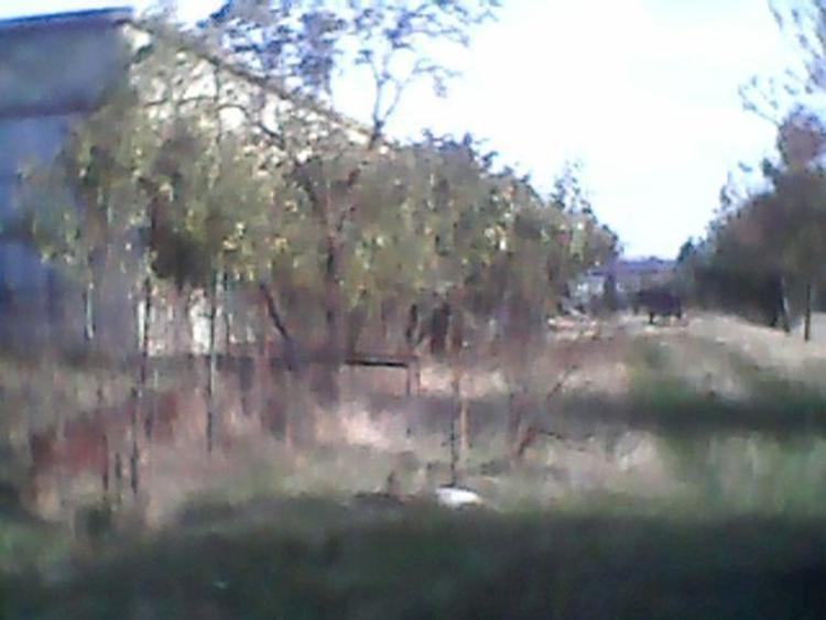 Ferma agricola cu 7600 mp teren intravilan si 400 mp constructii in Popanzalesti comuna Dragotesti - 3