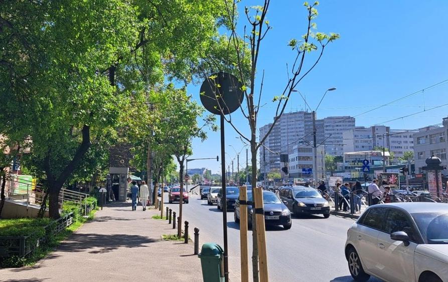 Spatiu comercial de inchiriat Soseaua Virtutii 4 - 2