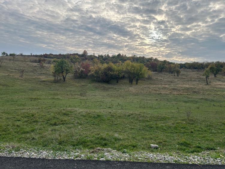 Teren intravilan - 3