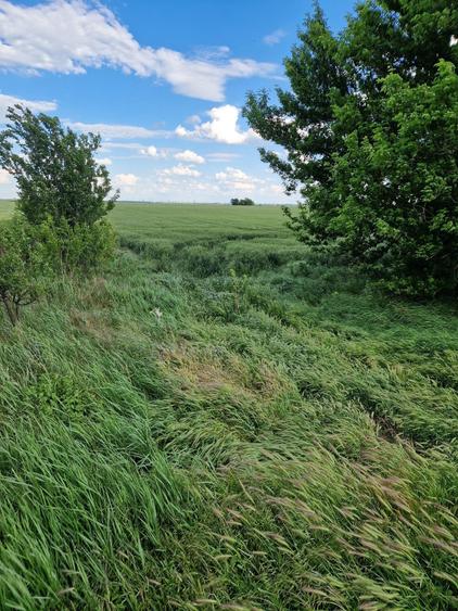 Teren sos Slobozie 1.75ha - 4