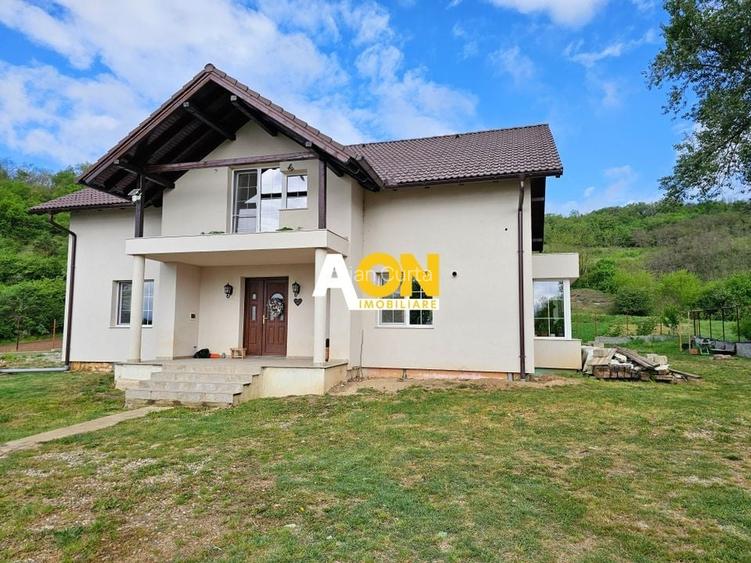 Casă individuală cu 6 camere în Vințu de Jos Casă individuală cu 6 camere în Vințu de Jos