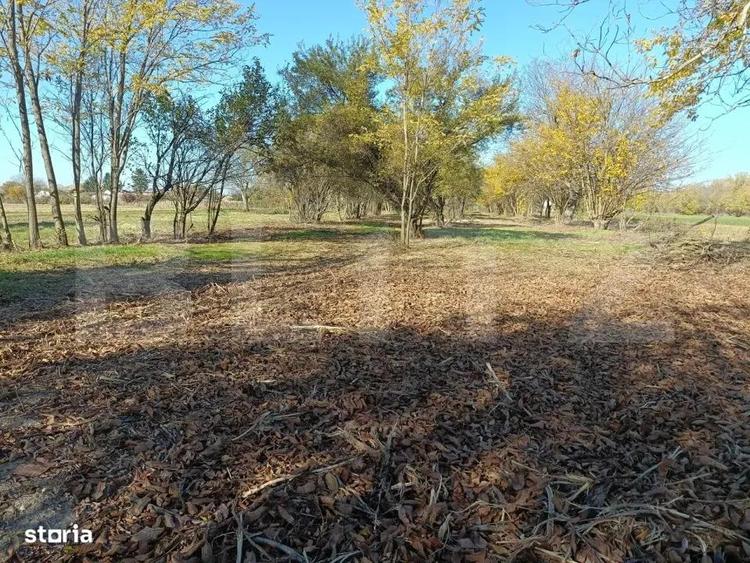 OPORTUNITATE TEREN 0,9 Ha intravilan constructii+extravilan - 2