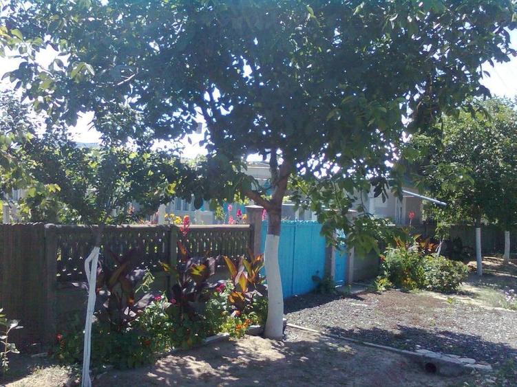 vand casa teren 1853mp Sarichioi, Tulcea - 6