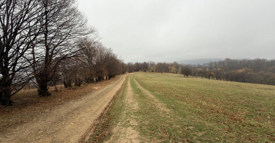 Teren spectaculos 3,5HA zona Cisnadioara - 7