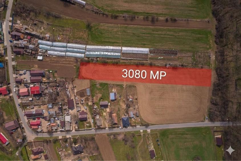 NUCI - BALTA NEAGRA, LOT 3080 MP, LA PADURE! - 1