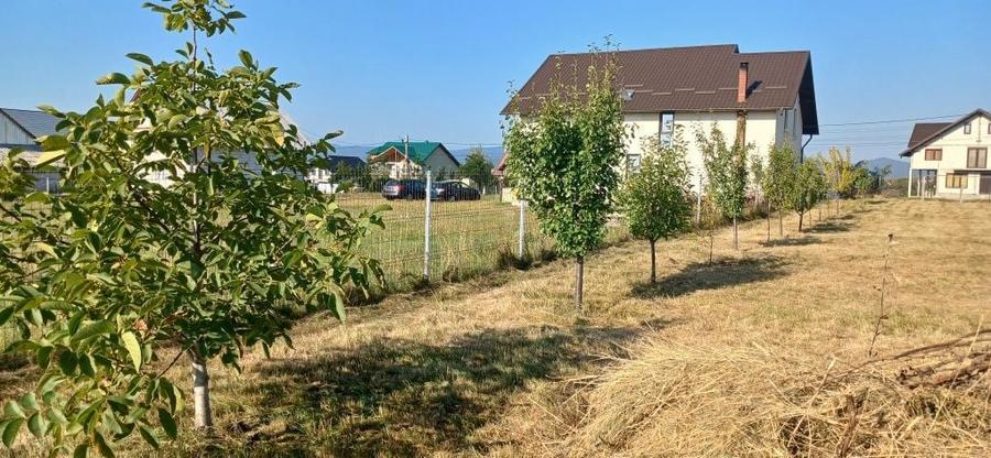 Vand Casa in Berchisesti-SV - 2