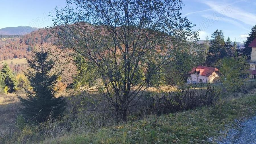 Teren intravilan situat in Predeal-Paraul Rece - 2