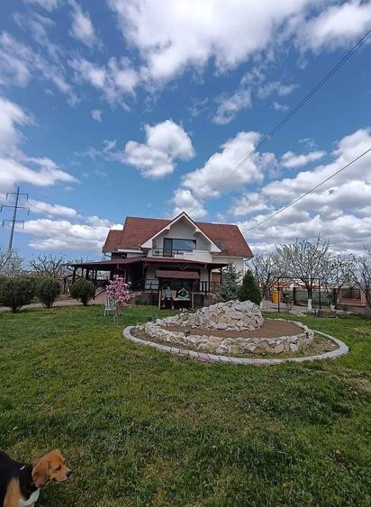 Vand casa, Reghin - 6