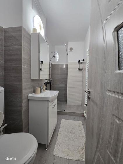 1 camera, Mazepa 1, Salcia, renovat, CT, AC - 2