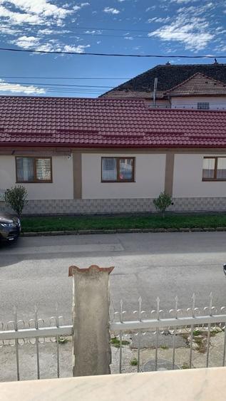 Casa de inchiriat la Fagaras, curte - 6