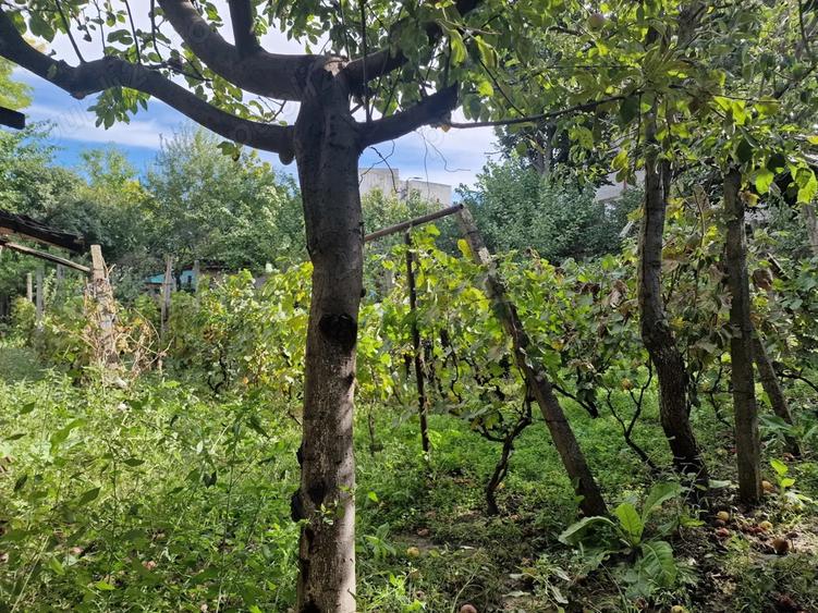 Casa de vanzare cu teren generos 910 mp Tulcea, zona Big 23 August - 6