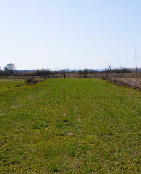 Teren intravilan - Comuna Recea, 2 km de Baia Mare, direct proprietar - 5