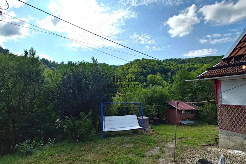 Cabana, anexe si 2000 mp teren intravilan in Taratel, Brad - 18